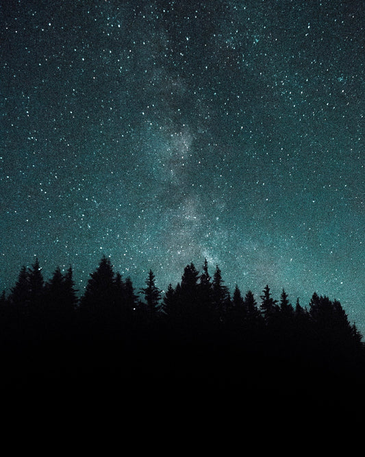 Image of night sky featuring stars, with silhouetted forest in background