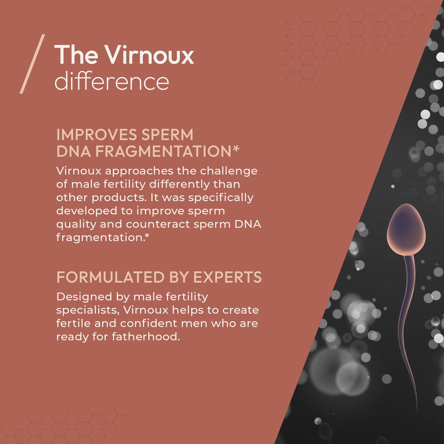 Image of sperm on red background. Text with "The Virnoux Difference". Improves sperm DNA fragmentation and "formulated by experts". 