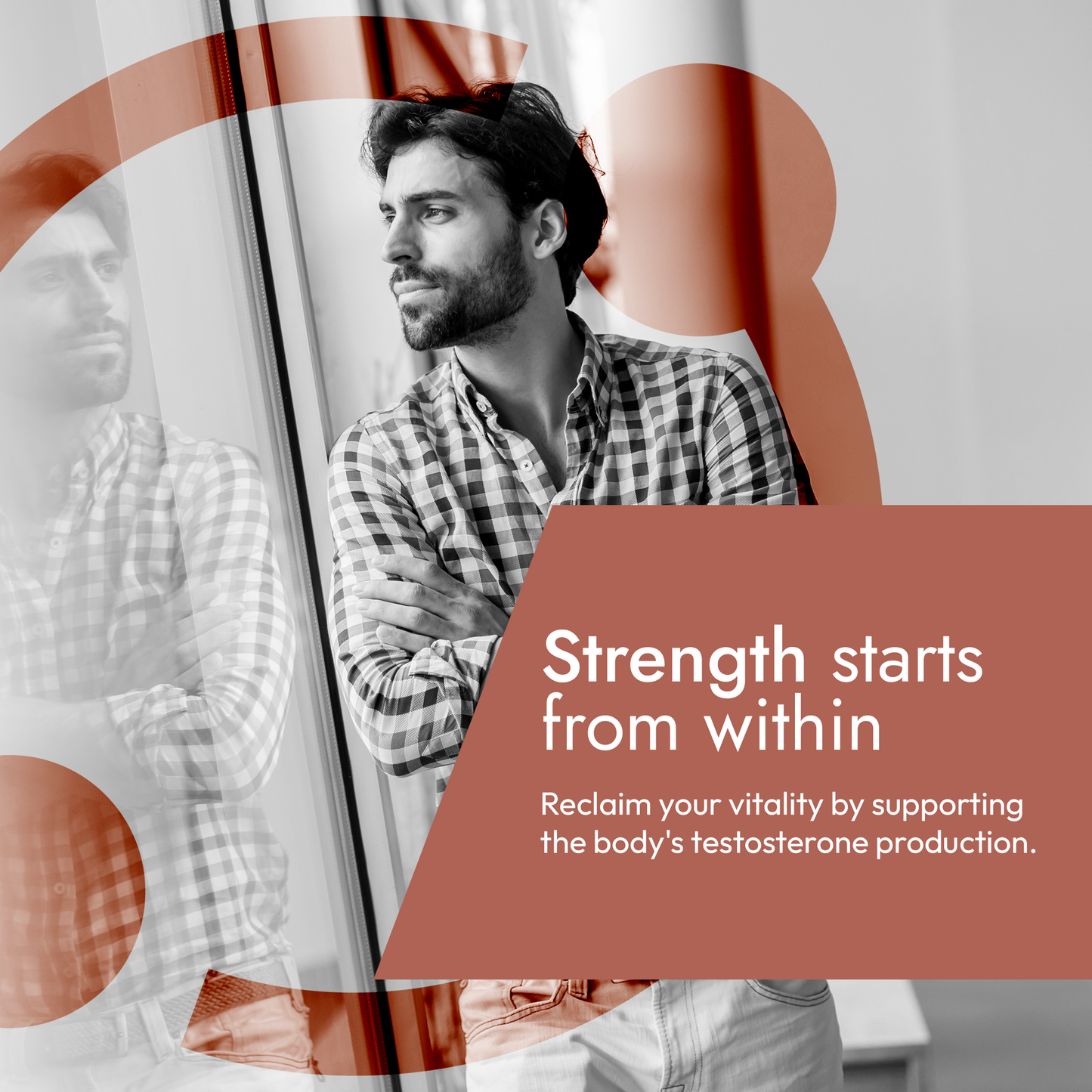 Fortim: Testosterone and Intimate Performance Supplement
